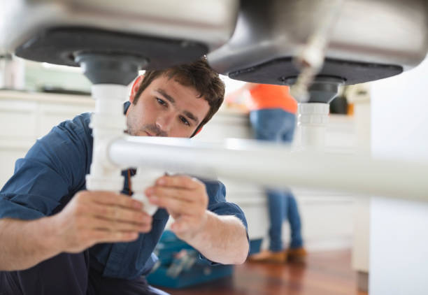 Best Drain Cleaning Services  in Wewahitchka, FL