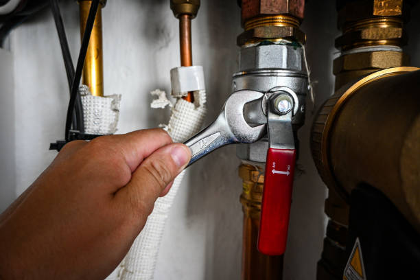 Best Plumbing Inspection Services  in Wewahitchka, FL